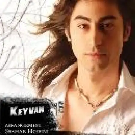 دانلود اهنگ کیوان داوودی تو گفتی