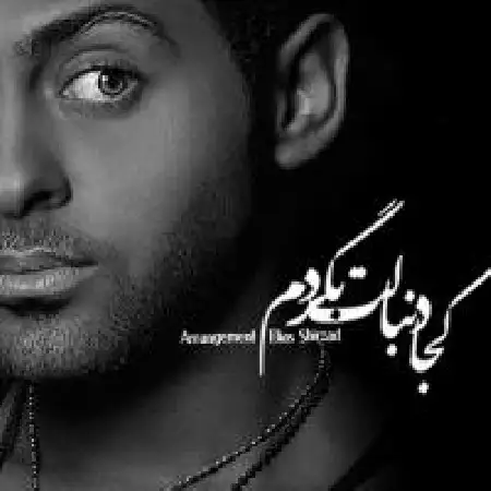 دانلود اهنگ مانی جامی کجا دنبالت بگردم