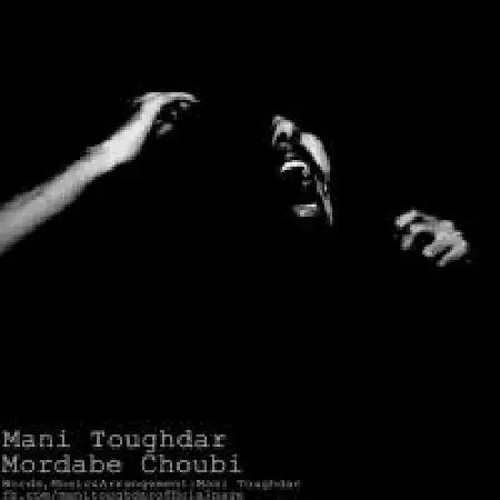 دانلود اهنگ مانی طوقدار مرداب چوبی