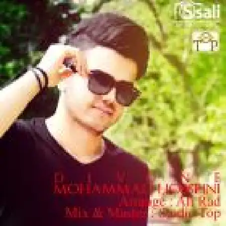 دانلود اهنگ محمد حسینی دیوونه