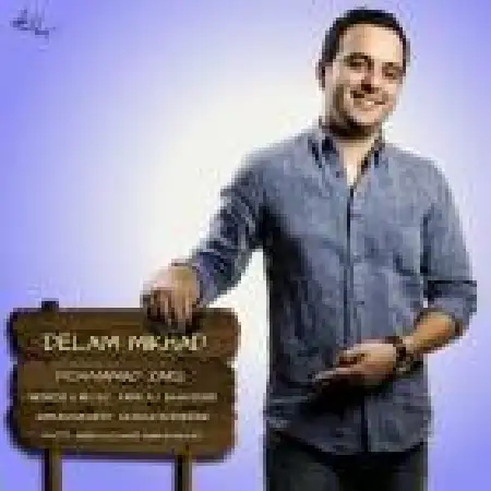 دانلود اهنگ محمد زارع دلم میخواد
