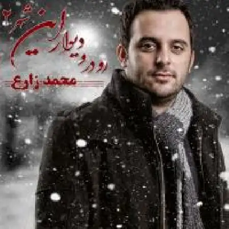 دانلود اهنگ محمد زارع رو در و دیوار این شهر