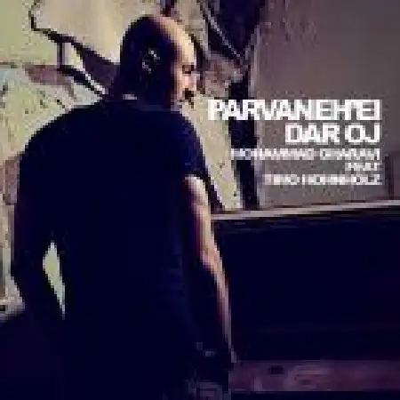 دانلود آلبوم تک اهنگ ها از محمد غروی