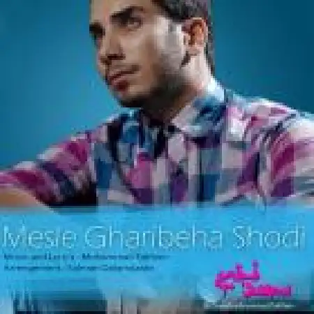 دانلود اهنگ محمد فخیم مثل غریبه ها شدی