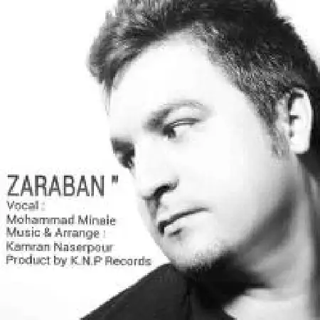 دانلود اهنگ محمد مینایی ضربان