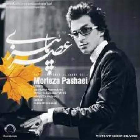 دانلود اهنگ مرتضی پاشایی عصر پاییز