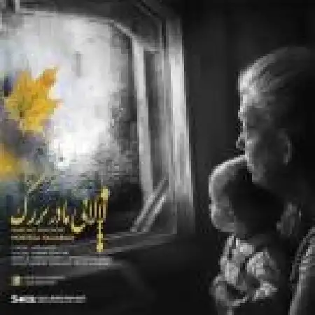 دانلود آلبوم تک اهنگ ها از مرتضی حاجی آبادی