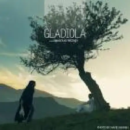 دانلود آلبوم تک اهنگ ها از مسعود رضایی