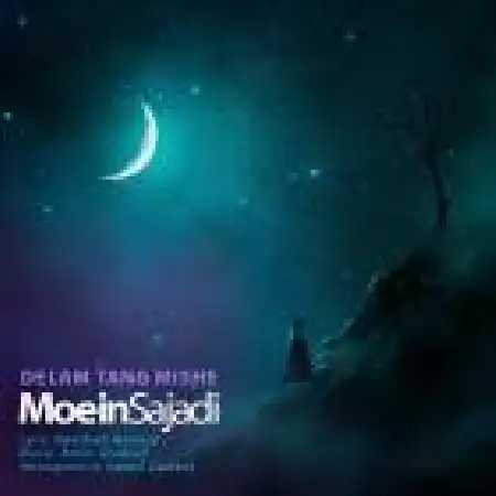 دانلود اهنگ معین سجادی دلم تنگ میشه