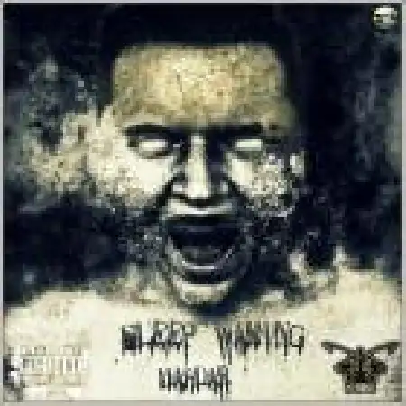 دانلود اهنگ مهدار خواب در بیداری (ریمیکس)