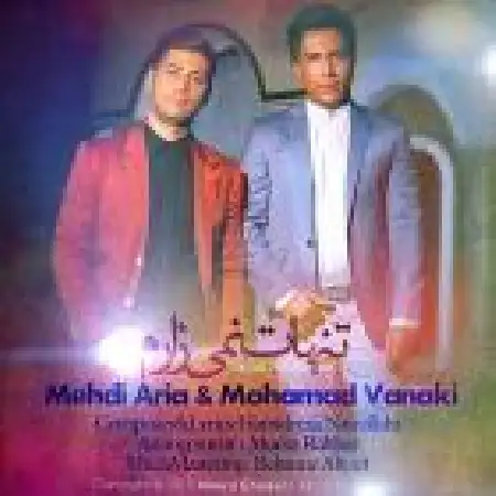 دانلود اهنگ مهدی آریا تنهات نمیزارم با حضور محمد ونکی