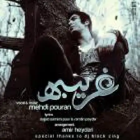 دانلود اهنگ مهدی پوران غریبه