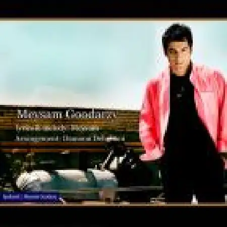 دانلود اهنگ میثم گودرزی تو یه سنگی