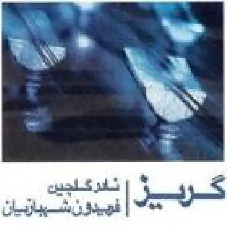 دانلود اهنگ نادر گلچین پیش درآمد