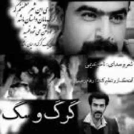 دانلود اهنگ ناصر ندیمی گرگ و سگ