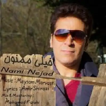 دانلود اهنگ نامی نژاد خیلی ممنونم