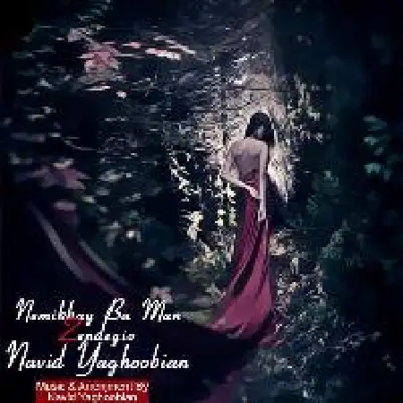 دانلود اهنگ نوید یعقوبیان نمی خوای با من زندگی رو