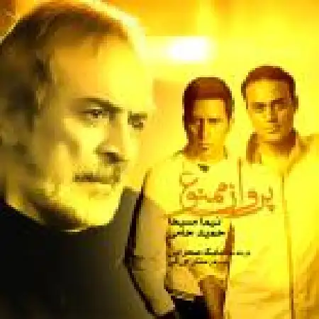 دانلود اهنگ نیما مسیحا پرواز ممنوع با حضور حمید حامی