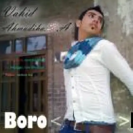 دانلود اهنگ وحید احمدی ها برو برو