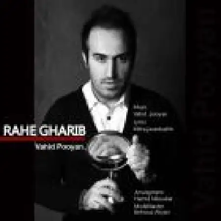 دانلود اهنگ وحید پویان راه قریب