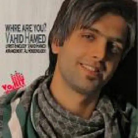 دانلود اهنگ وحید حامد تو کجایی