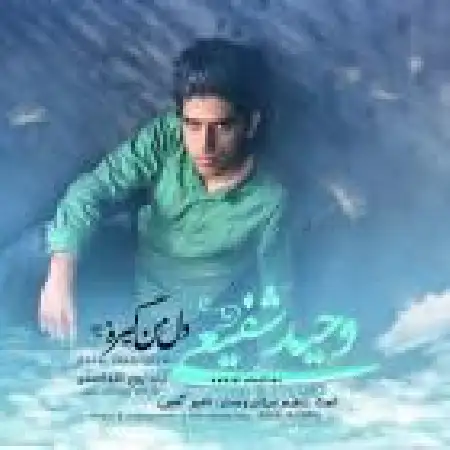 دانلود اهنگ وحید شفیعی دل من گیره