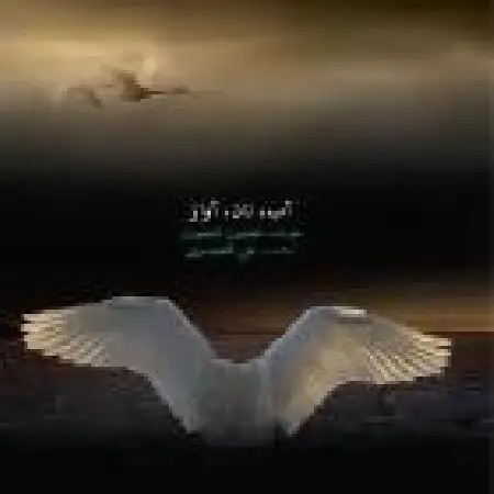 دانلود اهنگ همایون شجریان تصنیف آب نان آواز