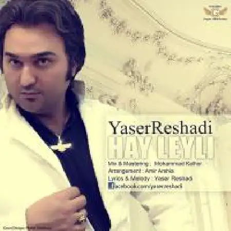 دانلود اهنگ یاسر رشادی های لیلی