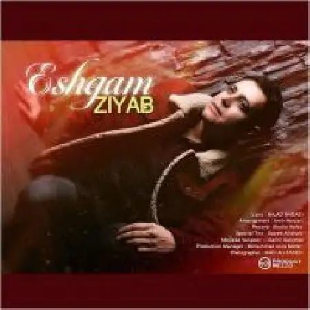 دانلود آلبوم تک اهنگ ها از زیاب