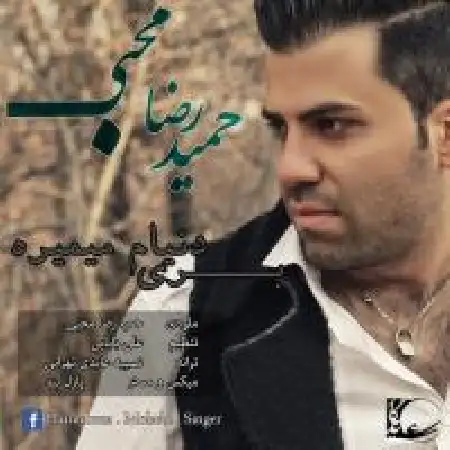 دانلود آلبوم تک اهنگ ها از حمیدرضا محبی