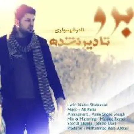 دانلود اهنگ نادر شهسواری برو تا دیر نشده