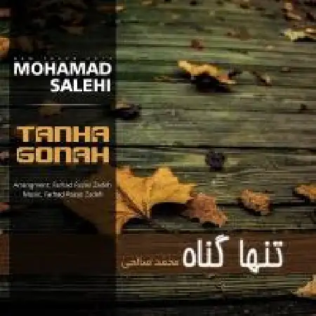 دانلود اهنگ محمد صالحی تنها گناه