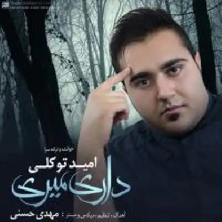 دانلود اهنگ امید توکلی داری میری