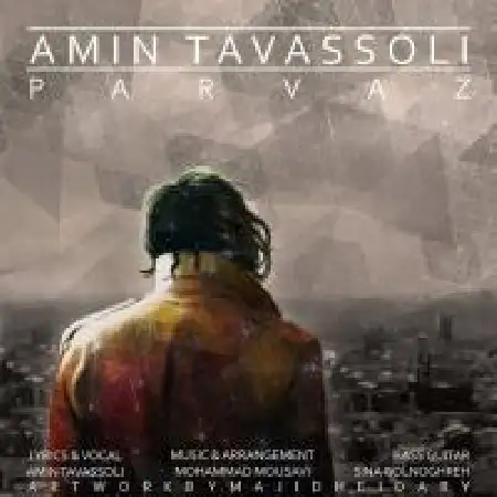 دانلود آلبوم تک اهنگ ها از امین توسلی