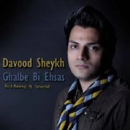 دانلود آلبوم تک اهنگ ها از داود شیخ