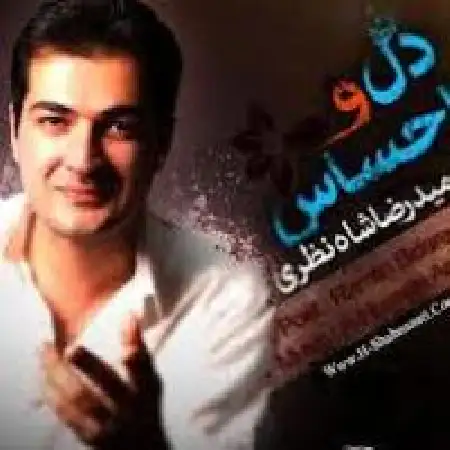 دانلود اهنگ حمیدرضا شاه نظری دل و احساس