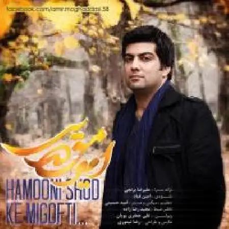 دانلود آلبوم تک اهنگ ها از امیر مقدسی