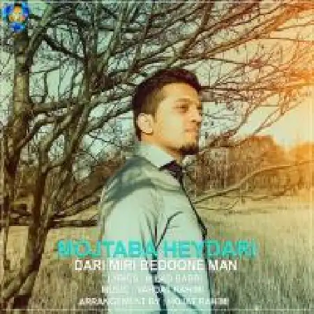 دانلود اهنگ مجتبی حیدری داری میری بدون من