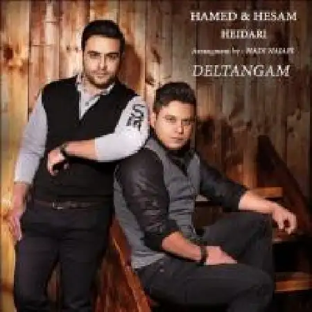 دانلود اهنگ حامد حیدری دلتنگم با حضور حسام حیدری