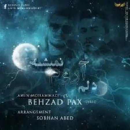 دانلود اهنگ امین محمدی دلم آروم نمیشه با حضور بهزاد پکس