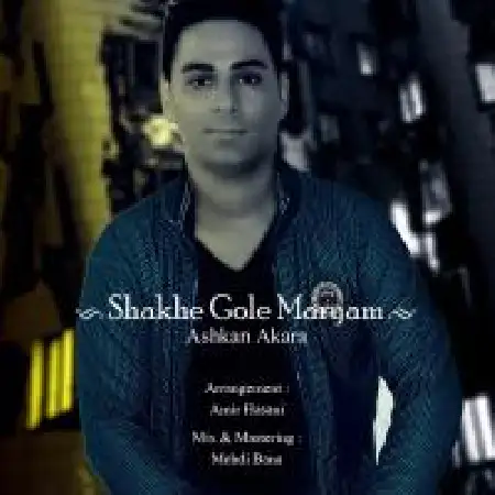 دانلود آلبوم تک اهنگ ها از اشکان آکارا