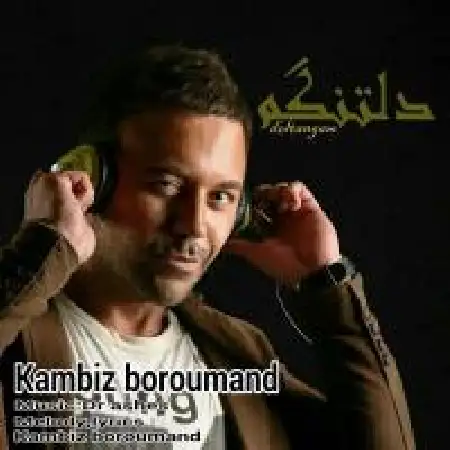 دانلود اهنگ کامبیز برومند دلتنگتم