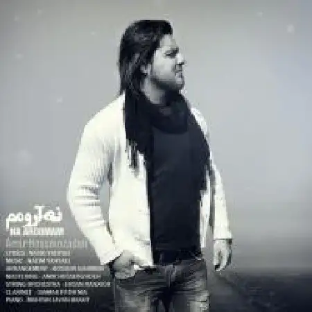 دانلود اهنگ امیر حسین زاده نا آرومم