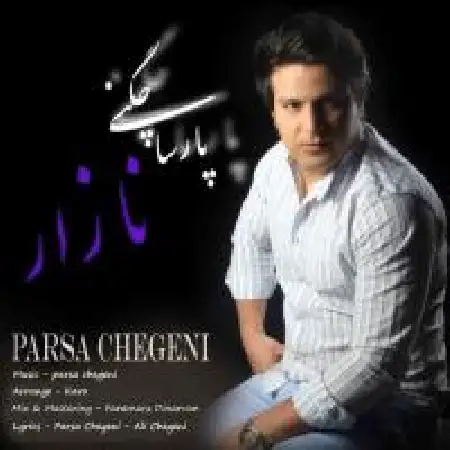 دانلود آلبوم تک اهنگ ها از پارسا چگنی