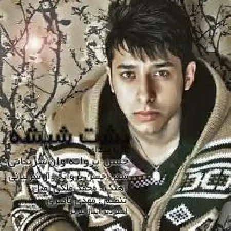 دانلود اهنگ حسن پروانه وار شربیانی پشت شیشه