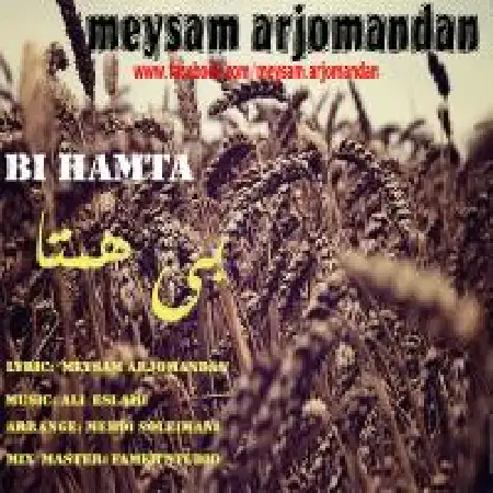 دانلود اهنگ میثم ارجمند بی همتا