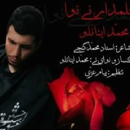 دانلود اهنگ محمد اینانلو علمدار نینوا
