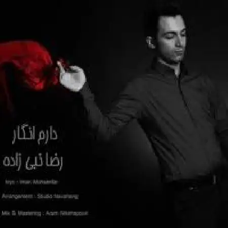 دانلود آلبوم تک اهنگ ها از رضا نبی زاده