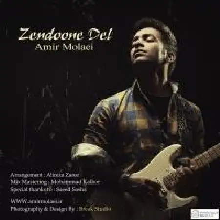 دانلود اهنگ امیر مولایی زندون دل