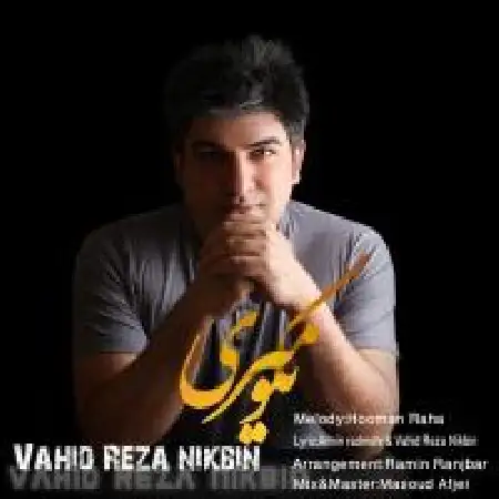 دانلود اهنگ وحیدرضا نیک بین نگو میری